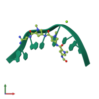 PDB entry 159d coloured by chain, front view.