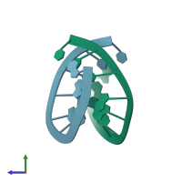 PDB entry 160d coloured by chain, side view.