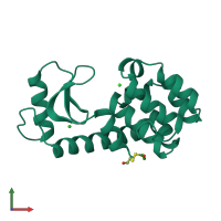 PDB entry 161l coloured by chain, front view.