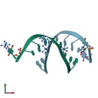 PDB entry 165d coloured by chain, front view.