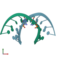 PDB entry 168d coloured by chain, front view.