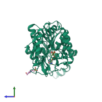 PDB entry 16pk coloured by chain, side view.