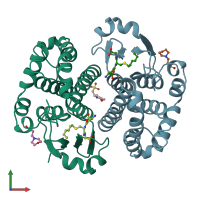 PDB entry 17gs coloured by chain, front view.