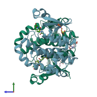 PDB entry 17gs coloured by chain, side view.