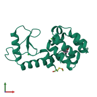 PDB entry 182l coloured by chain, front view.
