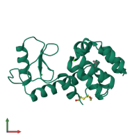 PDB entry 184l coloured by chain, front view.