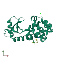 PDB entry 190l coloured by chain, front view.