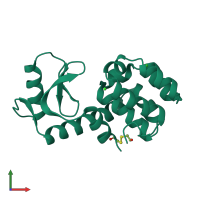 PDB entry 192l coloured by chain, front view.