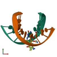 PDB entry 199d coloured by chain, ensemble of 3 models, front view.