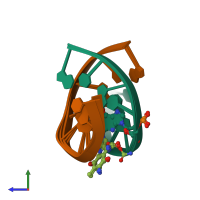 PDB entry 199d coloured by chain, ensemble of 3 models, side view.