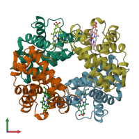 PDB entry 1a00 coloured by chain, front view.