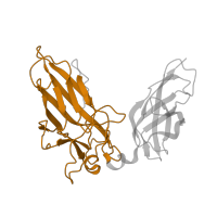 The deposited structure of PDB entry 1a02 contains 1 copy of Pfam domain PF00554 (Rel homology DNA-binding domain) in Nuclear factor of activated T-cells, cytoplasmic 2. Showing 1 copy in chain C [auth N].