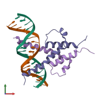 PDB entry 1a0a coloured by chain, front view.