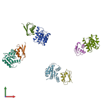 PDB entry 1a0o coloured by chain, front view.
