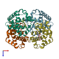 PDB entry 1a0u coloured by chain, top view.
