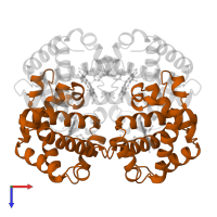 Hemoglobin subunit beta in PDB entry 1a0u, assembly 1, top view.