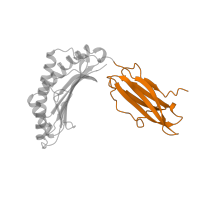 The deposited structure of PDB entry 1a1m contains 1 copy of SCOP domain 48942 (C1 set domains (antibody constant domain-like)) in HLA class I histocompatibility antigen, B alpha chain. Showing 1 copy in chain A.