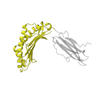 The deposited structure of PDB entry 1a1m contains 1 copy of SCOP domain 54453 (MHC antigen-recognition domain) in HLA class I histocompatibility antigen, B alpha chain. Showing 1 copy in chain A.