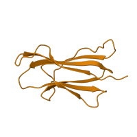 The deposited structure of PDB entry 1a1m contains 1 copy of SCOP domain 48942 (C1 set domains (antibody constant domain-like)) in Beta-2-microglobulin. Showing 1 copy in chain B.