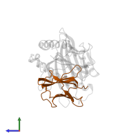 Beta-2-microglobulin in PDB entry 1a1o, assembly 1, side view.