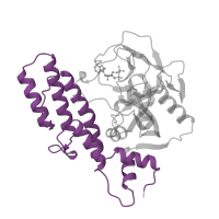 The deposited structure of PDB entry 1a26 contains 1 copy of Pfam domain PF02877 (Poly(ADP-ribose) polymerase, regulatory domain) in Poly [ADP-ribose] polymerase 1. Showing 1 copy in chain A.