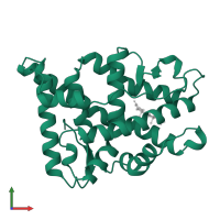 Progesterone receptor in PDB entry 1a28, assembly 1, front view.