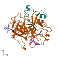 PDB entry 1a2c coloured by chain, front view.