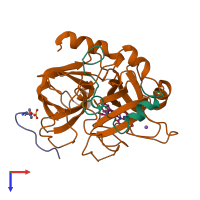 PDB entry 1a2c coloured by chain, top view.