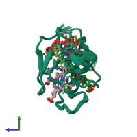 PDB entry 1a2i coloured by chain, ensemble of 20 models, side view.