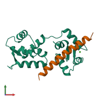 PDB entry 1a2x coloured by chain, front view.