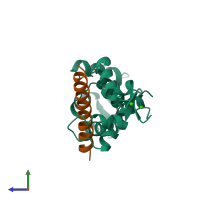 PDB entry 1a2x coloured by chain, side view.