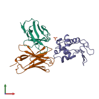 PDB entry 1a2y coloured by chain, front view.