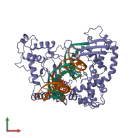 PDB entry 1a31 coloured by chain, front view.