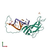 PDB entry 1a34 coloured by chain, front view.