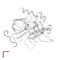 Hirudin-2 in PDB entry 1a3e, assembly 1, top view.