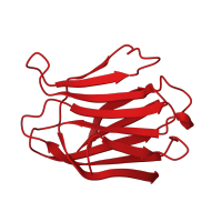 The deposited structure of PDB entry 1a3k contains 1 copy of CATH domain 2.60.120.200 (Jelly Rolls) in Galectin-3. Showing 1 copy in chain A.