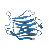 The deposited structure of PDB entry 1a3k contains 1 copy of Pfam domain PF00337 (Galactoside-binding lectin) in Galectin-3. Showing 1 copy in chain A.