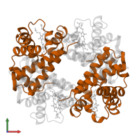 Hemoglobin subunit beta in PDB entry 1a3o, assembly 1, front view.