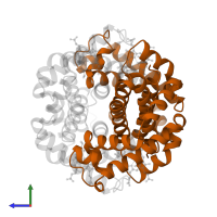 Hemoglobin subunit beta in PDB entry 1a3o, assembly 1, side view.