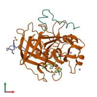 PDB entry 1a4w coloured by chain, front view.
