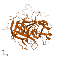 Thrombin heavy chain in PDB entry 1a4w, assembly 1, front view.