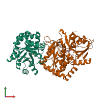 PDB entry 1a50 coloured by chain, front view.