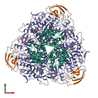 Hetero nonameric assembly 1 of PDB entry 1a5k coloured by chemically distinct molecules, front view.