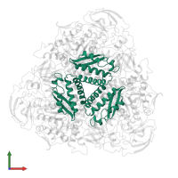 Urease subunit gamma in PDB entry 1a5k, assembly 1, front view.