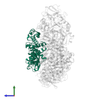 Urease subunit gamma in PDB entry 1a5k, assembly 1, side view.