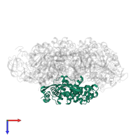 Urease subunit gamma in PDB entry 1a5k, assembly 1, top view.