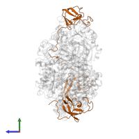 Urease subunit beta in PDB entry 1a5k, assembly 1, side view.