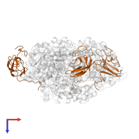 Urease subunit beta in PDB entry 1a5k, assembly 1, top view.