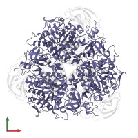 Urease subunit alpha in PDB entry 1a5k, assembly 1, front view.