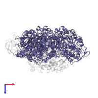 Urease subunit alpha in PDB entry 1a5k, assembly 1, top view.